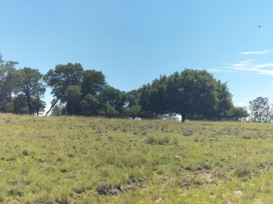 2 Bedroom Property for Sale in Bethlehem Rural Free State